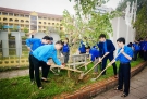 Đoàn thanh niên ra quân Tháng thanh niên năm 2019, phát động tết trồng cây “Đời đời nhớ ơn Bác Hồ”